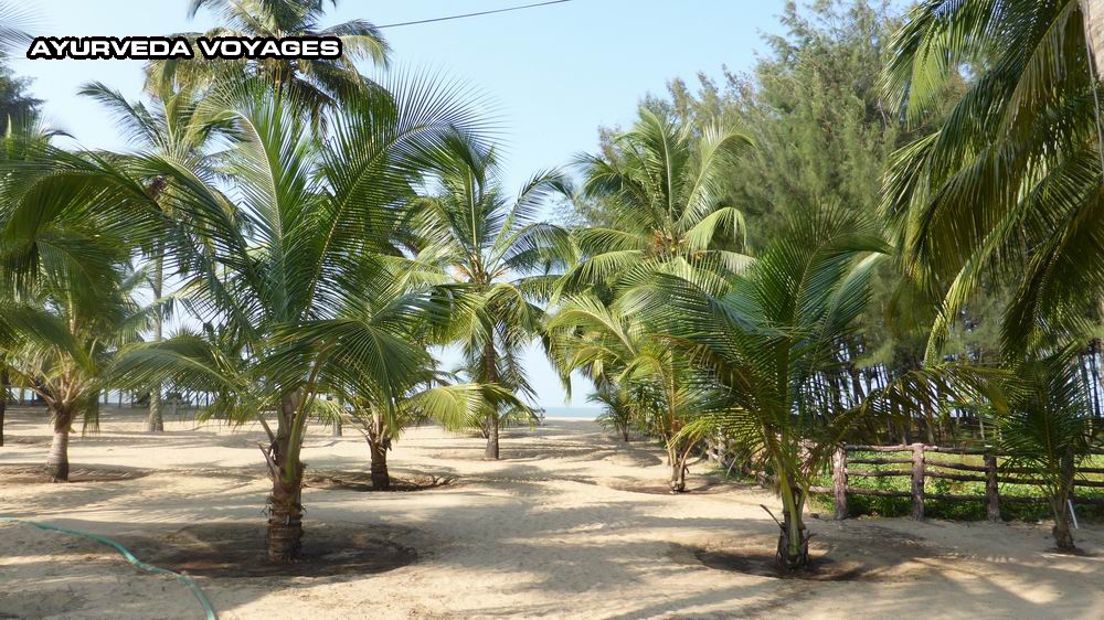 NATTIKA BEACH RESORT